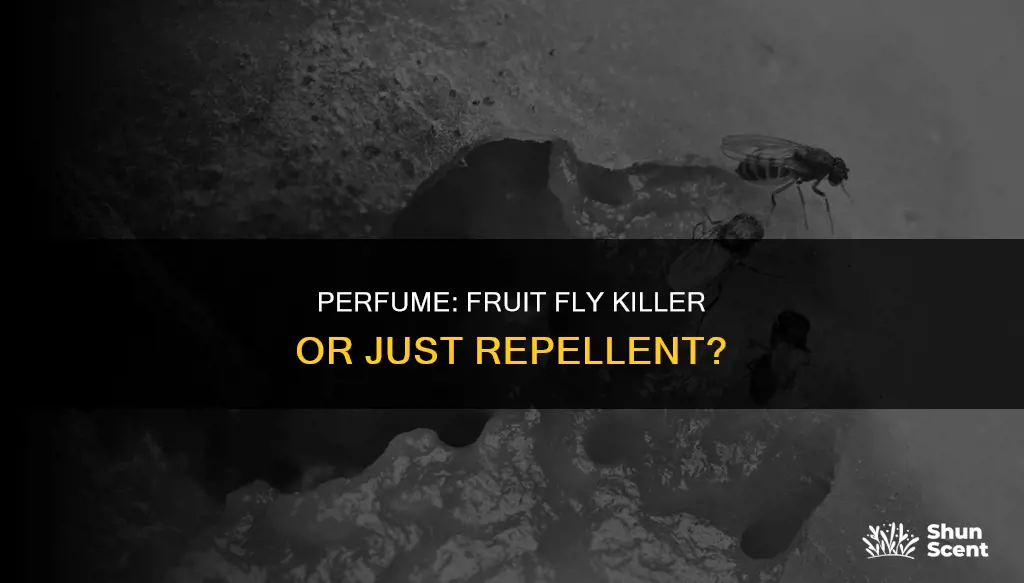 can perfume kill fruit flies