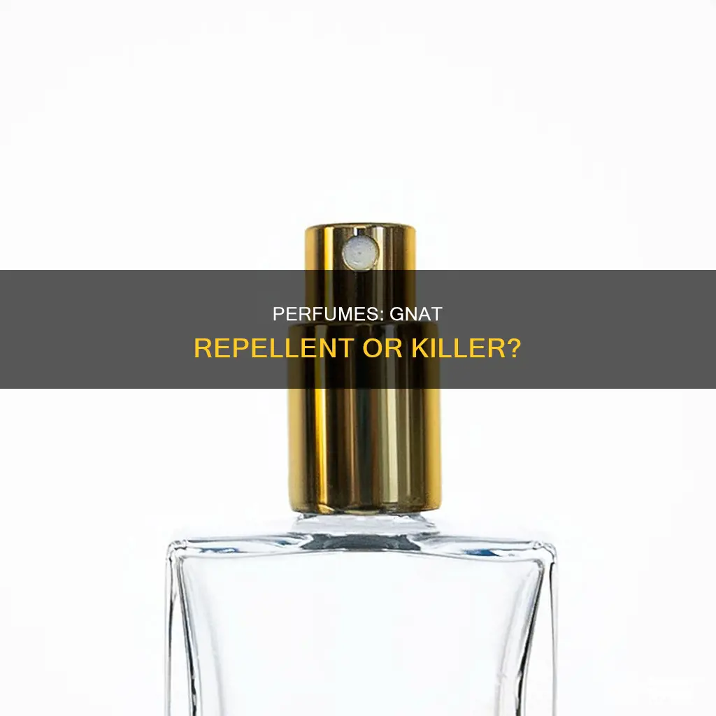 can perfume kill gnats