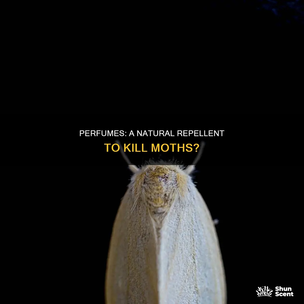 can perfume kill moths