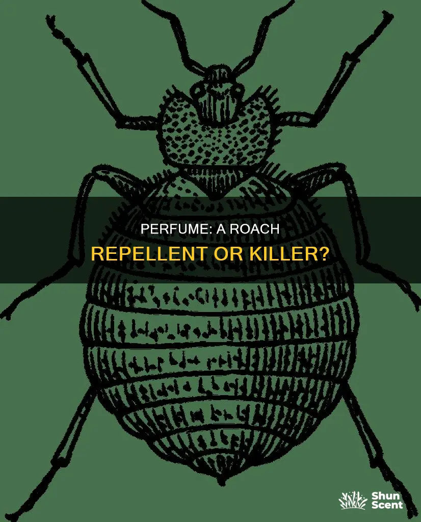 can perfume kill roaches