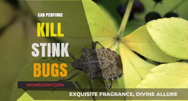 Perfume Power: Can It Kill Stink Bugs?