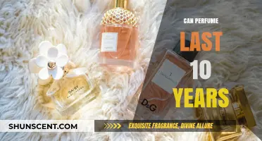 Perfume Shelf Life: Can Fragrances Last a Decade?