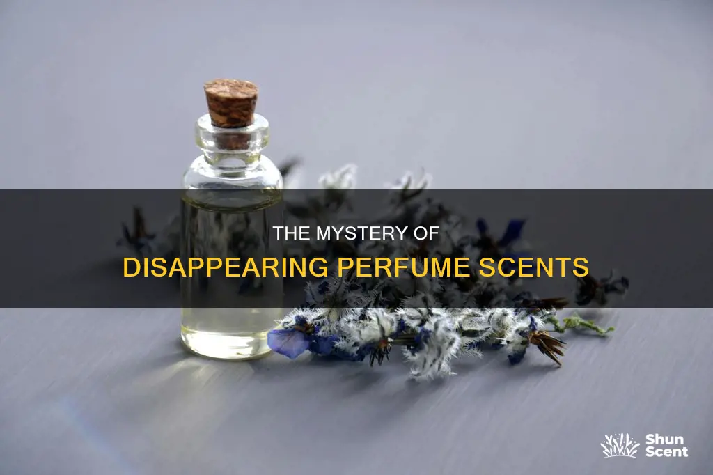 can perfume lose its scent