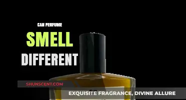 How Scents Change: The Art of Perfume