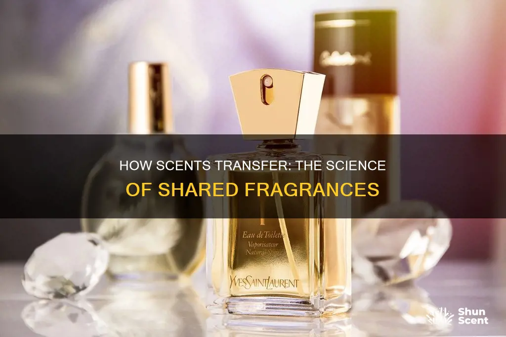 can perfume transfer to another person