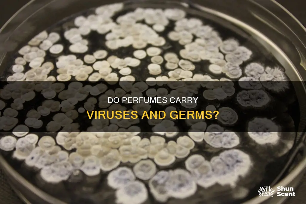 can perfumes carry germs or virus