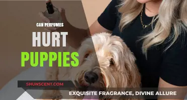 Perfumes and Puppies: What's the Harm?