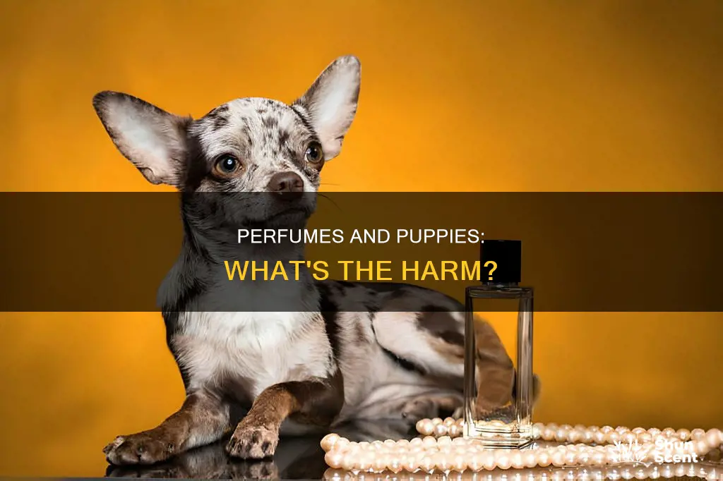 can perfumes hurt puppies