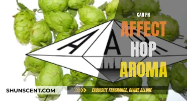 How pH Levels Affect Hop Aroma in Beer