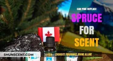 Pine vs. Spruce: Can Pine's Aroma Replace Spruce's Signature Scent?