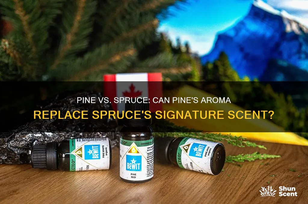 can pine replace spruce for scent