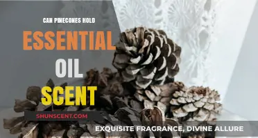 Pinecones as Natural Aromatherapy: Can They Hold Essential Oil Scents?