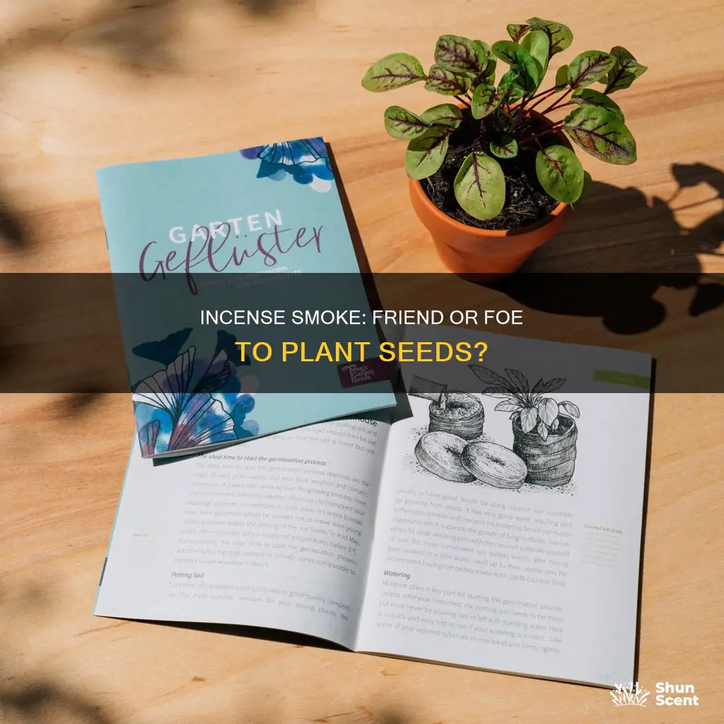 can plant seeds handle incense smoke