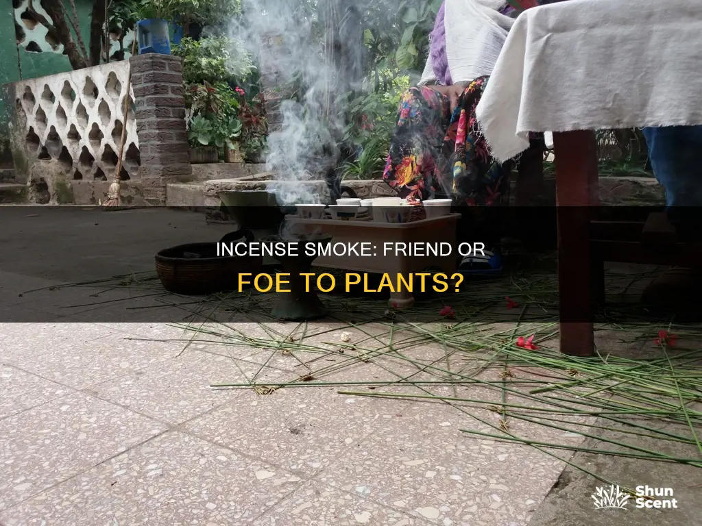 can plants live with incense smoke