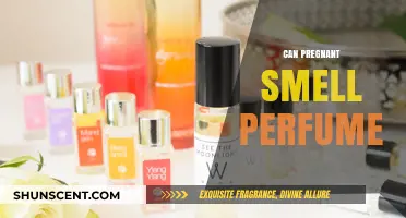 Pregnant Women's Superpower: Enhanced Sense of Smell
