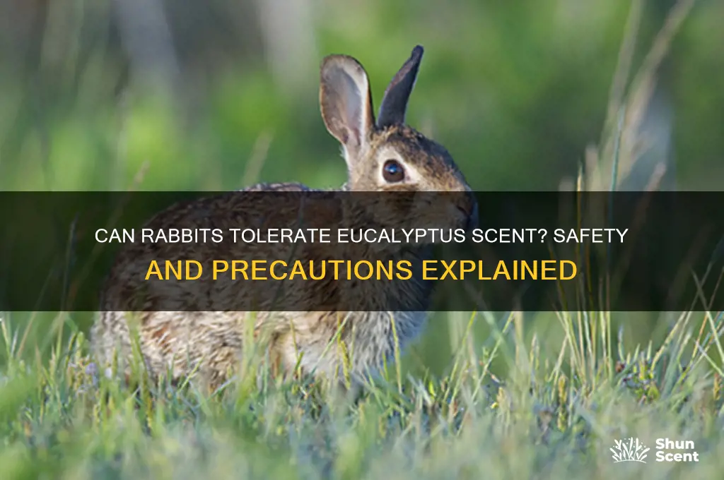 can rabbits handle eucalyptus scent