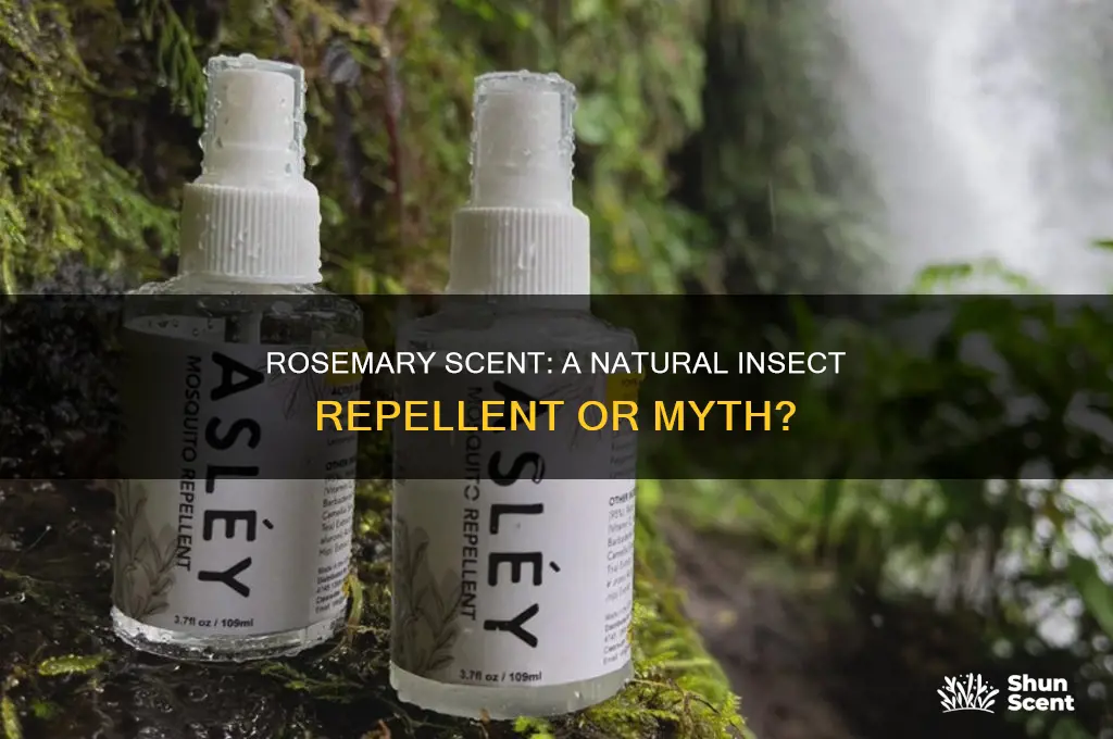 can rosemary scent can repel insects