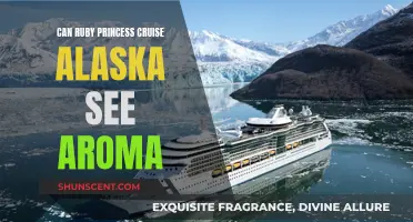 Cruising Alaska: Can You Smell the Aroma on Ruby Princess?