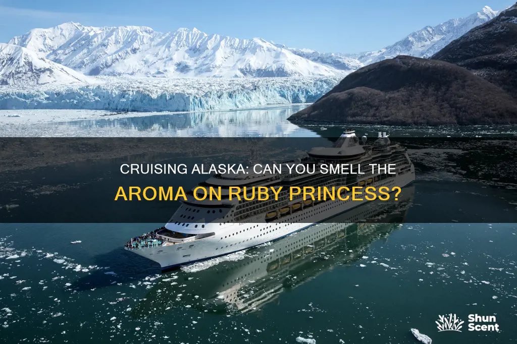 can ruby princess cruise alaska see aroma