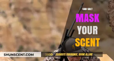 Does Salt Really Mask Your Scent? Uncovering the Truth for Hunters