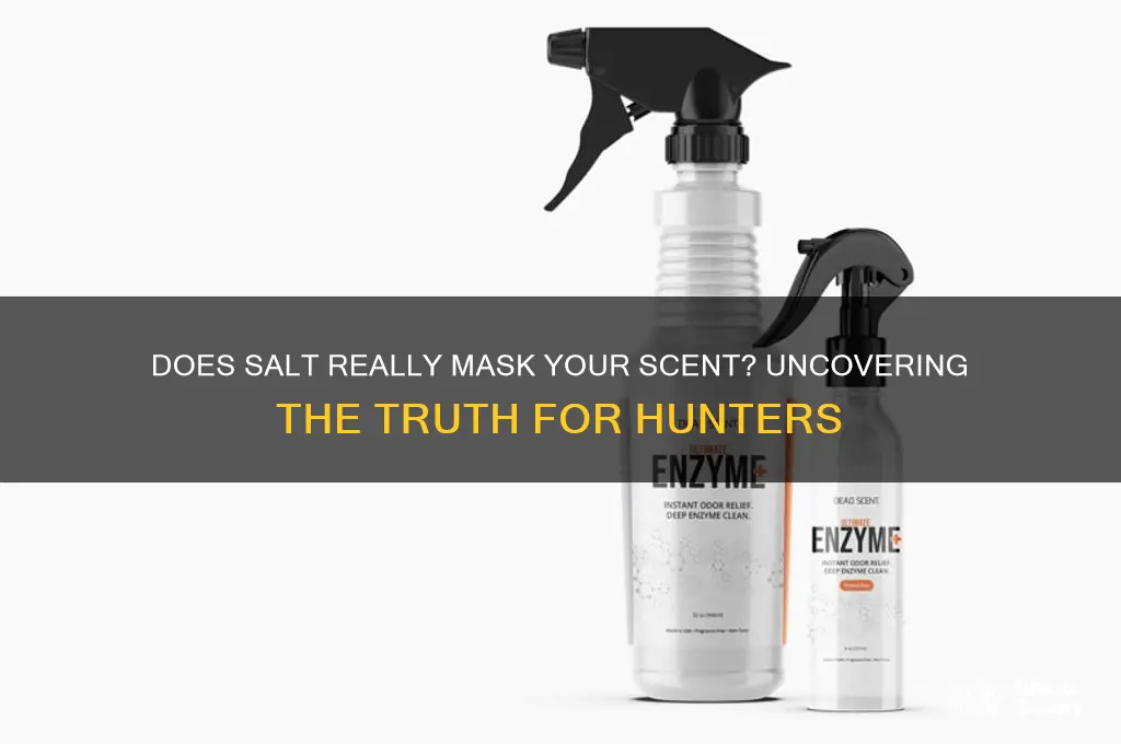 can salt mask your scent