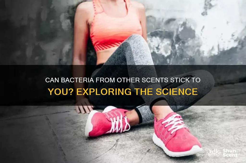 can scent bacteria from other things stick to you