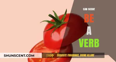 Exploring the Verb Potential of Scent: Can It Truly Be Used as One?