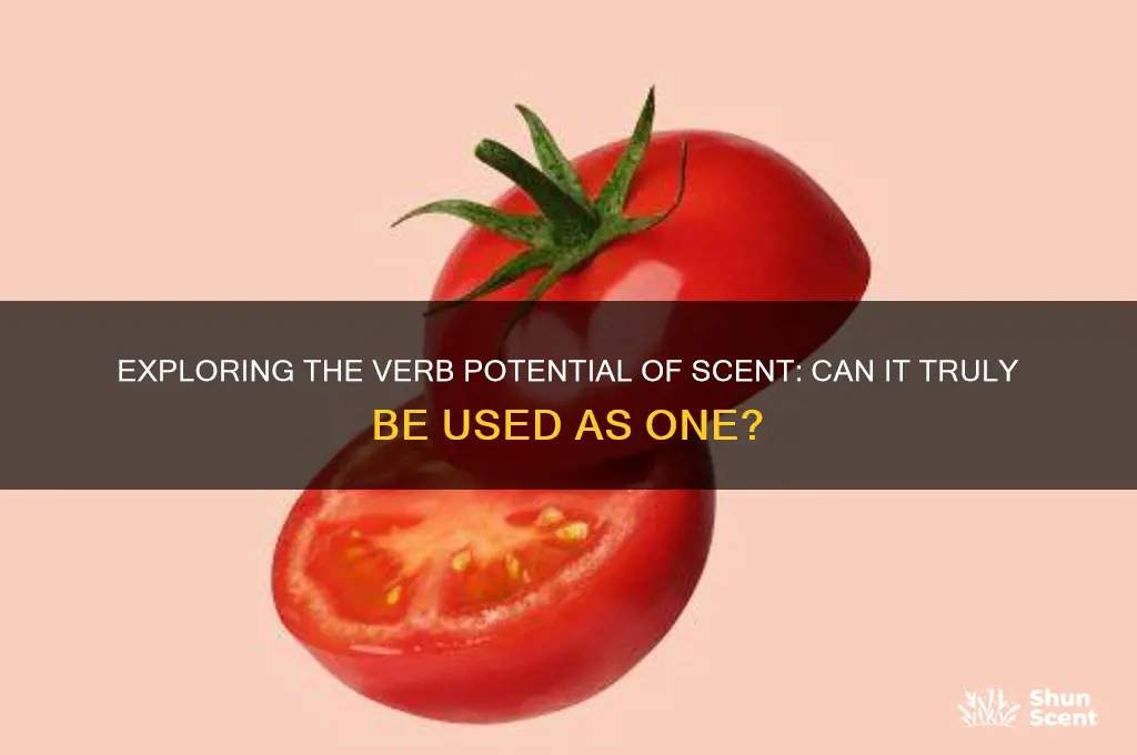 can scent be a verb