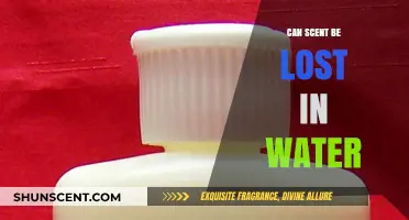 Can Scent Dissolve in Water? Exploring the Science Behind Fragrance Loss