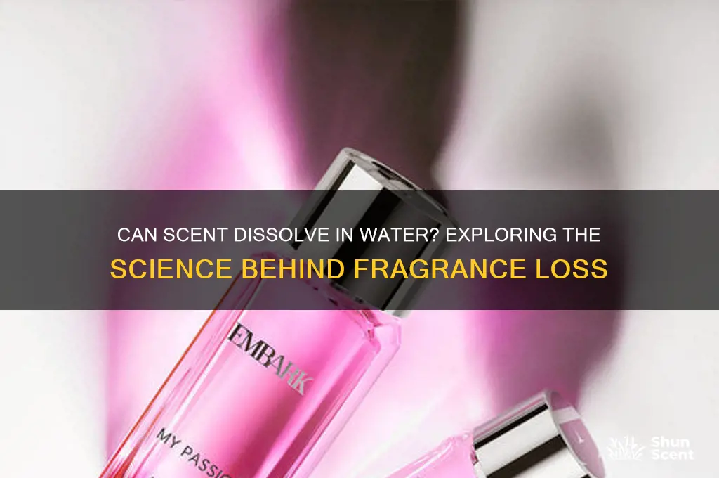 can scent be lost in water