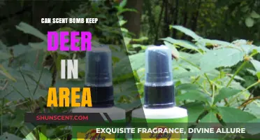 Scent Bomb Strategies: Keeping Deer in Your Area Effectively