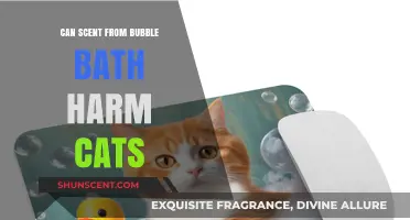Bubble Bath Scents: Potential Harm to Cats Explained