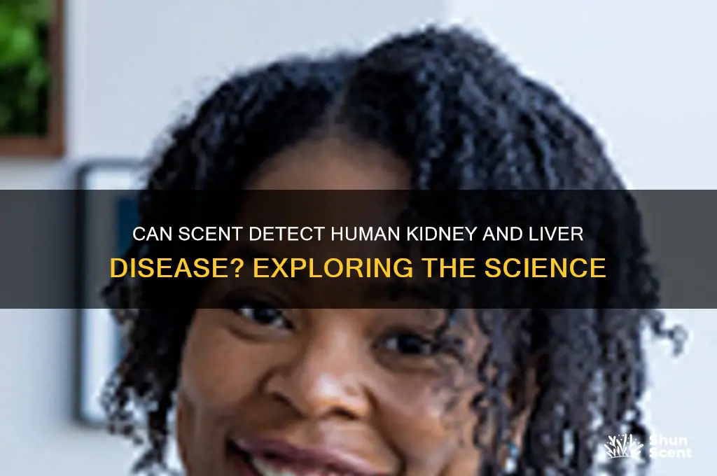 can scent human kidney liver disease