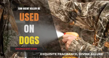 Can Scent Killer Safely Be Used on Dogs? Expert Insights