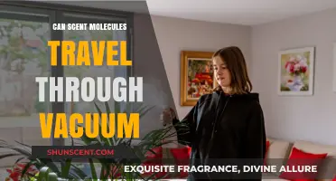 Do Scent Molecules Travel Through Vacuum? Unraveling the Science of Smell