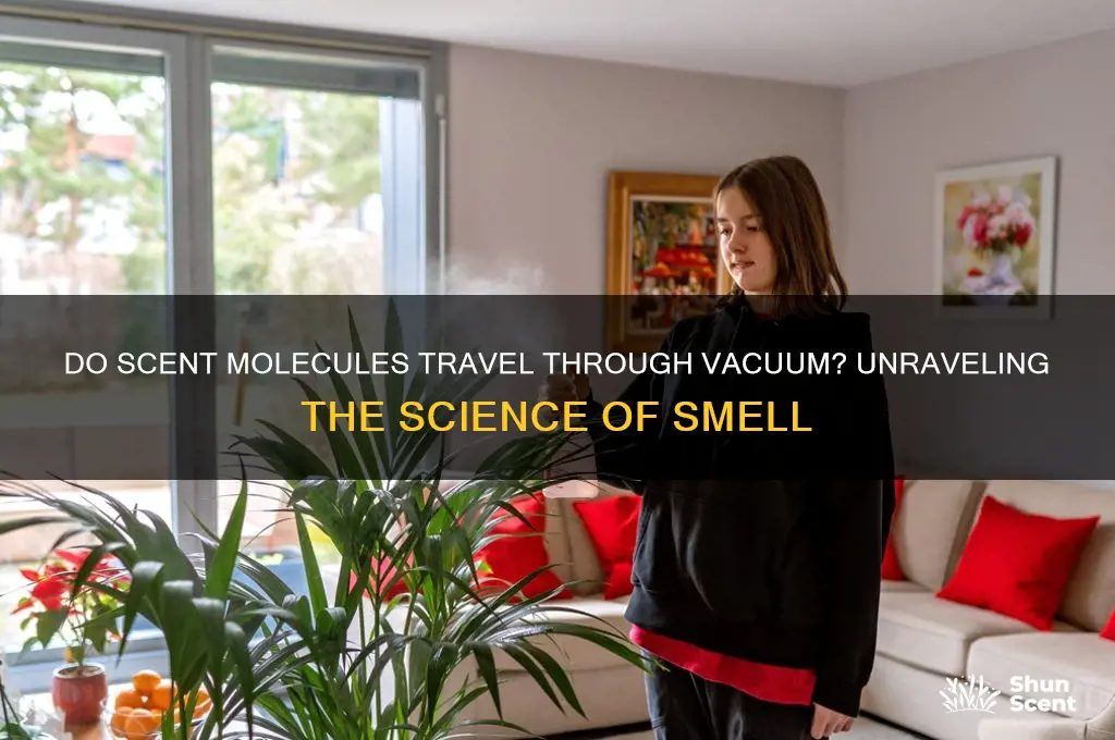 can scent molecules travel through vacuum
