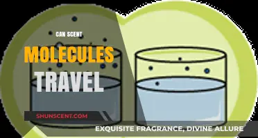 Do Scent Molecules Travel Through Air and Space?