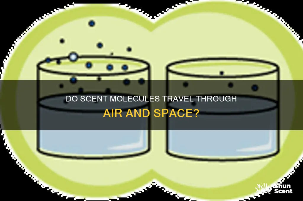 can scent molecules travel