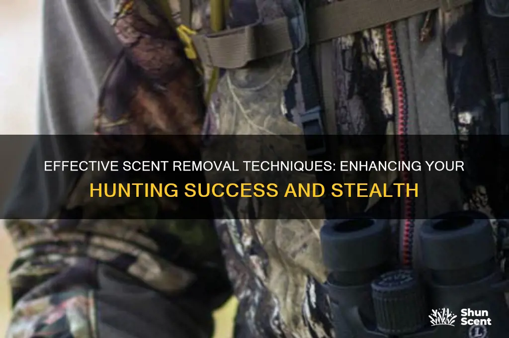 can scent removal actually work hunting
