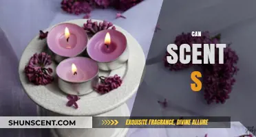 Can Scent Influence Mood, Memory, and Behavior? Exploring the Power of Smell