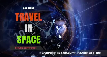 Can Scent Travel in Space? Exploring the Science of Smell Beyond Earth
