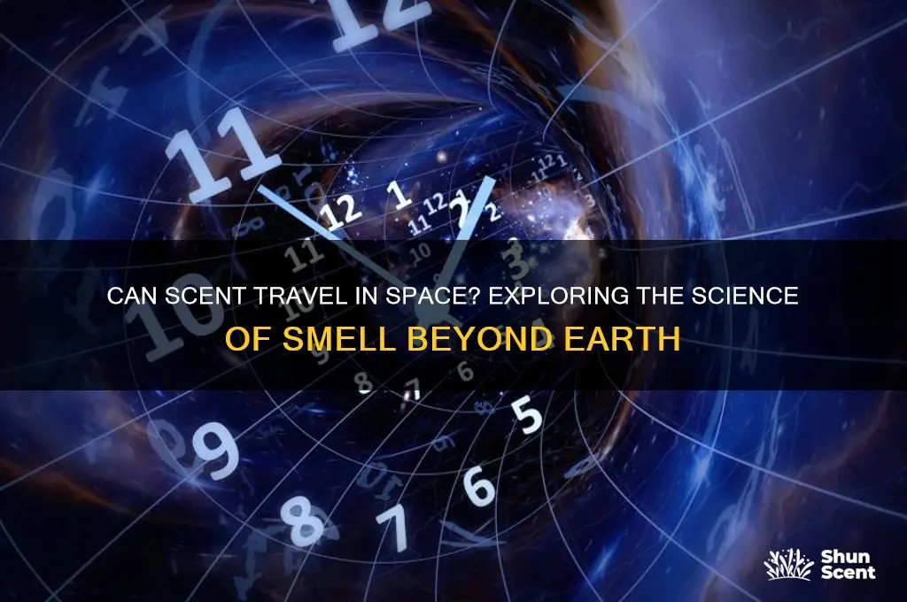 can scent travel in space