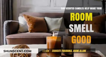 Scented Candles: The Secret to a Fresh-Smelling Room?