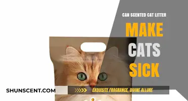 Can Scented Cat Litter Harm Your Feline's Health?