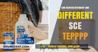 Scented Detergent vs. Fresh Scents: Which Keeps Laundry Smelling Best?