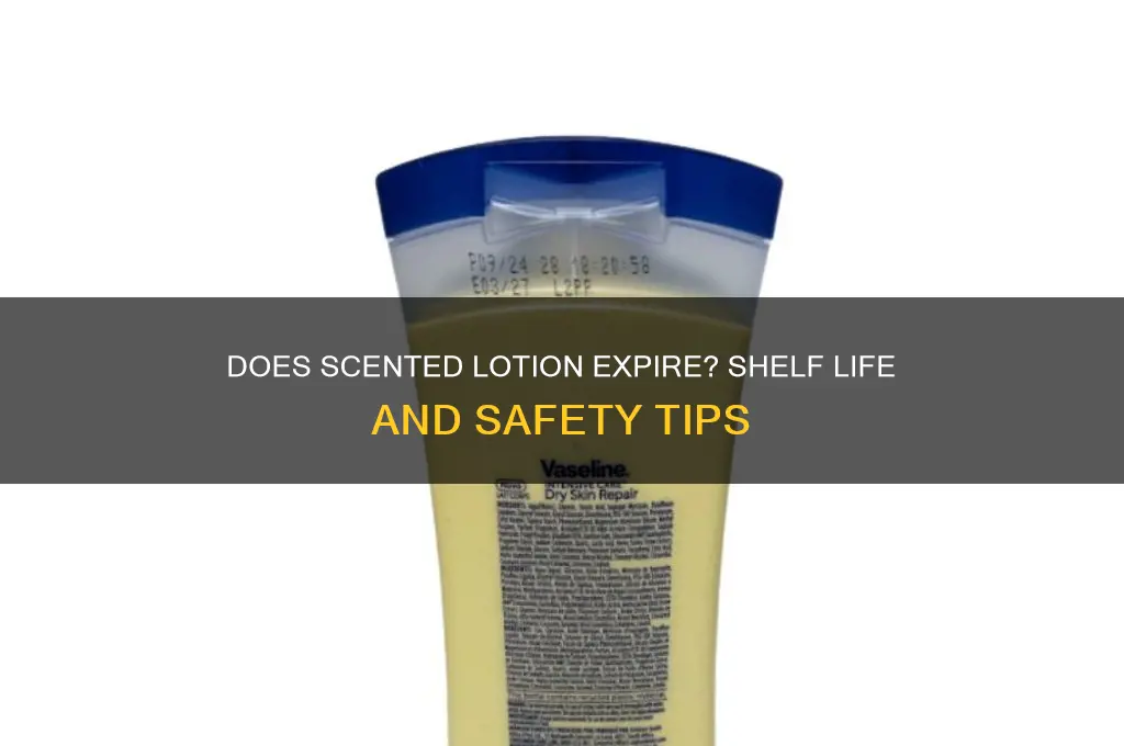 can scented lotion expire