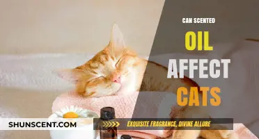 Scented Oils and Cats: Potential Risks and Safe Alternatives