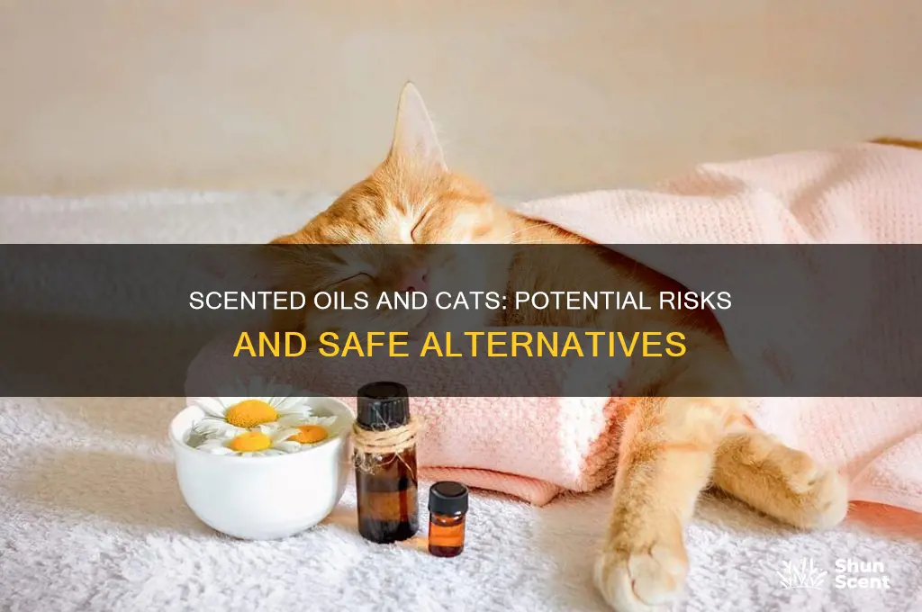 can scented oil affect cats