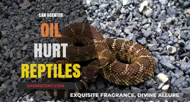 Can Scented Oils Harm Reptiles? Essential Safety Tips for Pet Owners