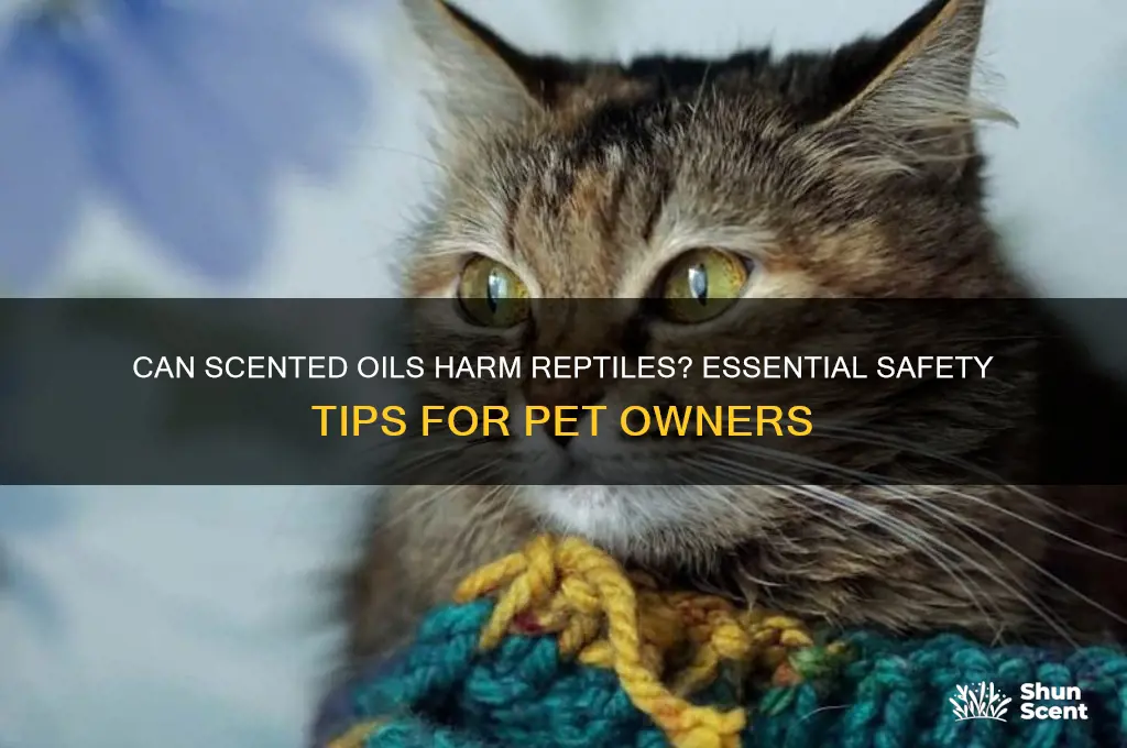 can scented oil hurt reptiles